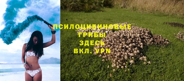 дурь Белокуриха