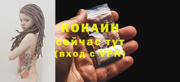 спиды Богородск