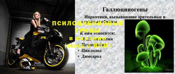 спиды Богородск
