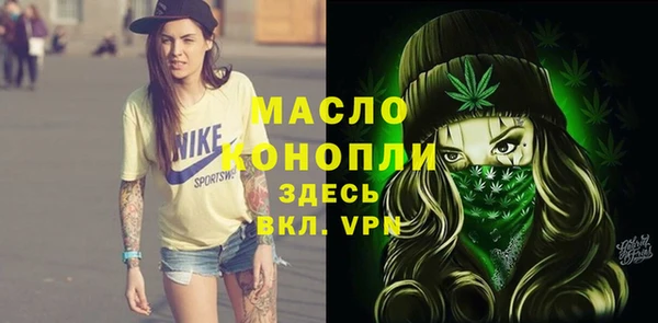 спиды Богородск