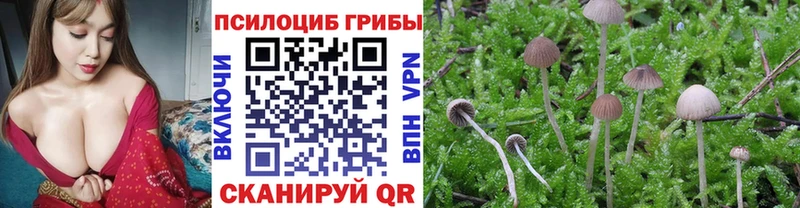 Псилоцибиновые грибы ЛСД  Белоозёрский 
